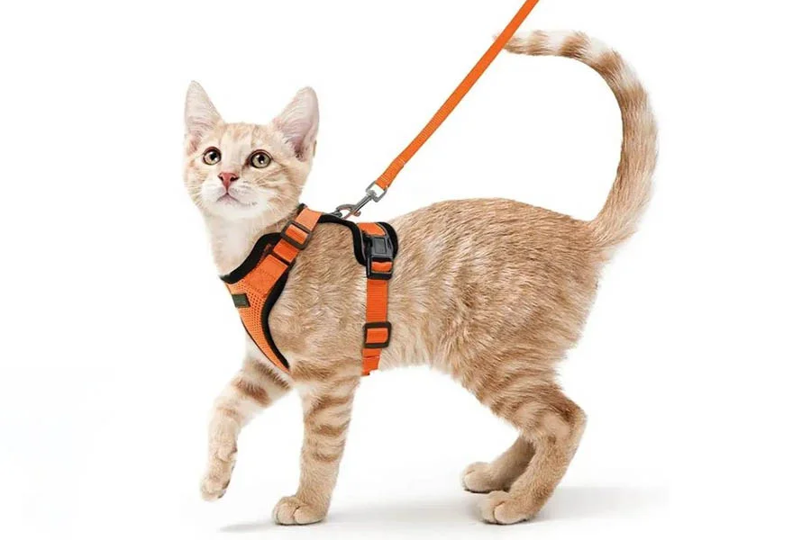 Comfortable Cat Harness for Outdoor Adventures
