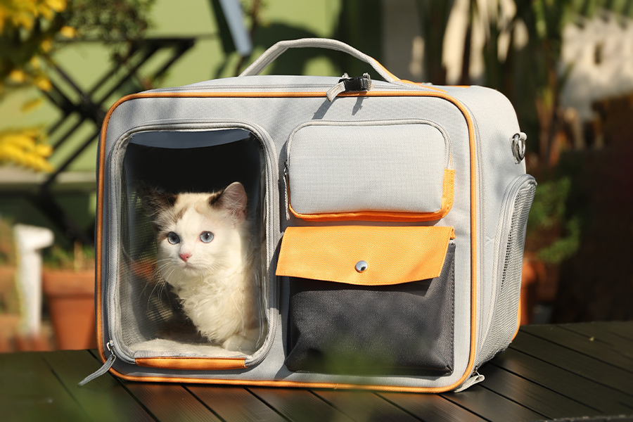 Best Windproof Pet Carrier Backpack