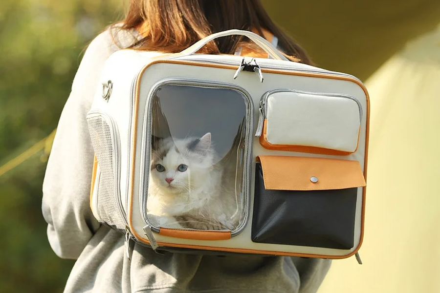 Windproof Outdoor Travel Pet Backpack